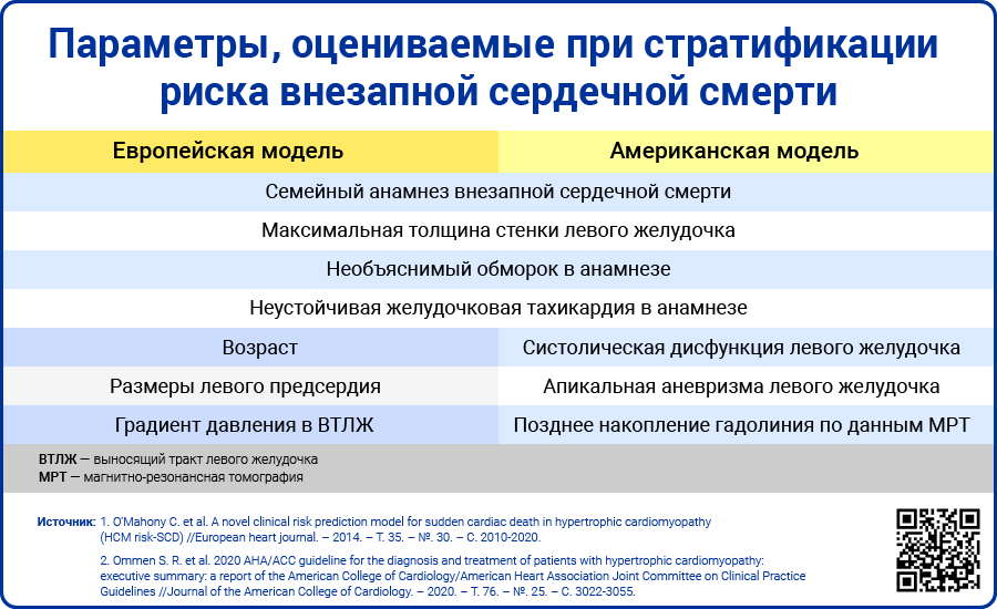 Параметры оцениваемые при стратификации риска внезапной сердечной смерти